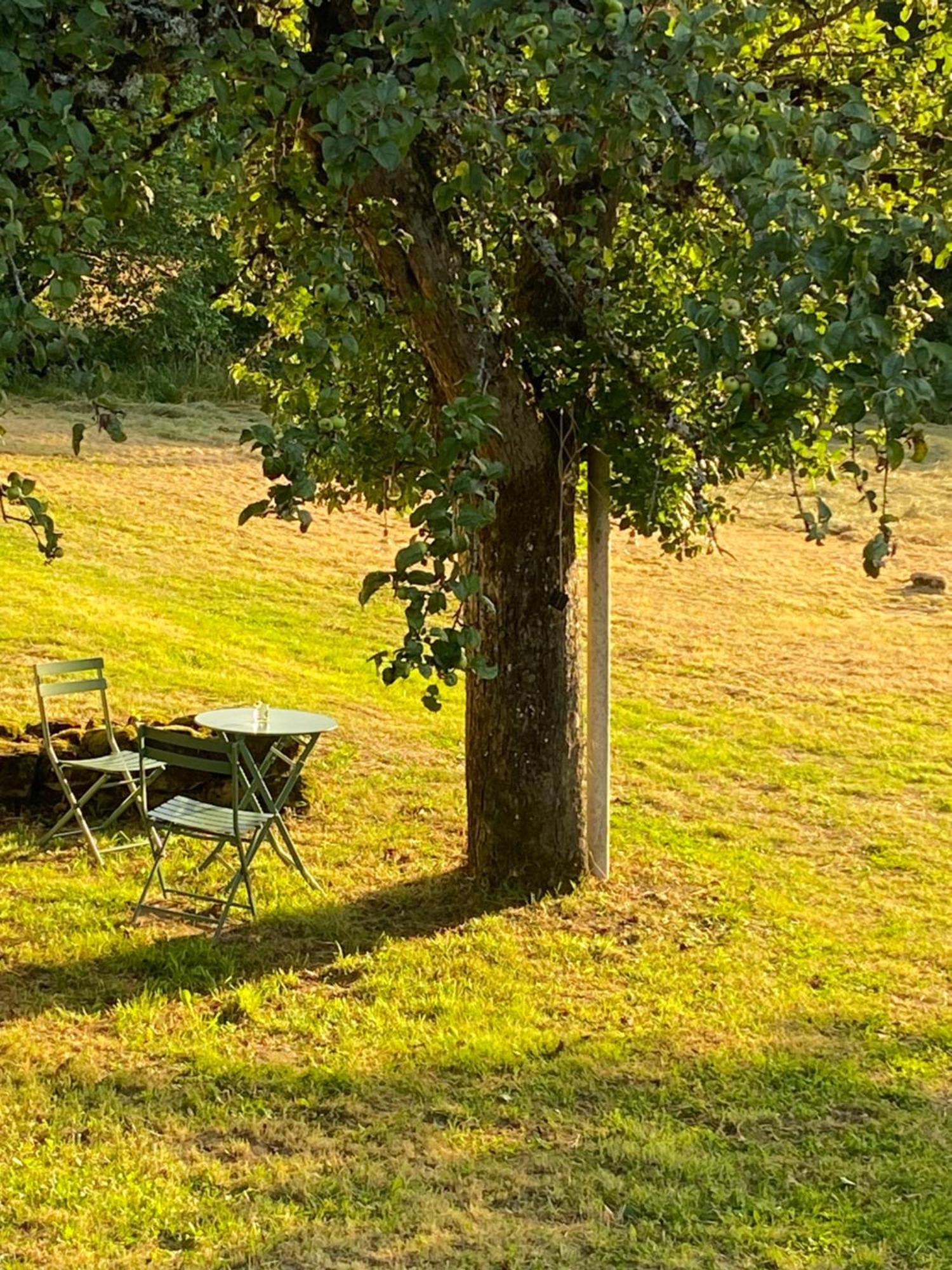 Une Pause En Correze Sarroux Екстер'єр фото